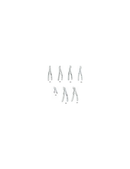 N° 1 / 0112-1 incisives supérieures enfant