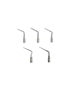 MD-07-B855EFC7CA