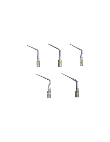 MD-07-B855EFC7CA