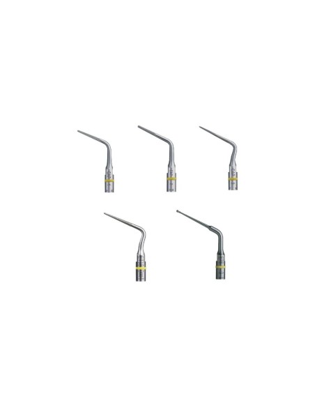 MD-07-B855EFC7CA