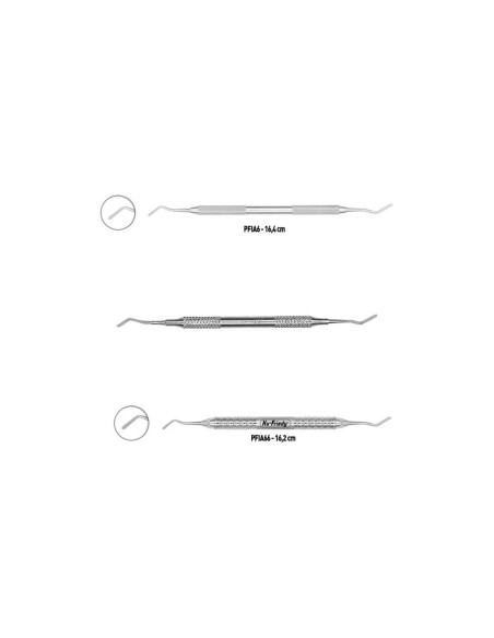N° 6