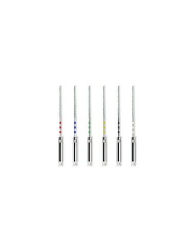 MD-08-EC39B1C1FF