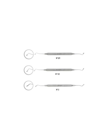 MD-05-2717C5DD1A