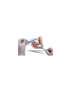 MD-05-B39EDF75A1