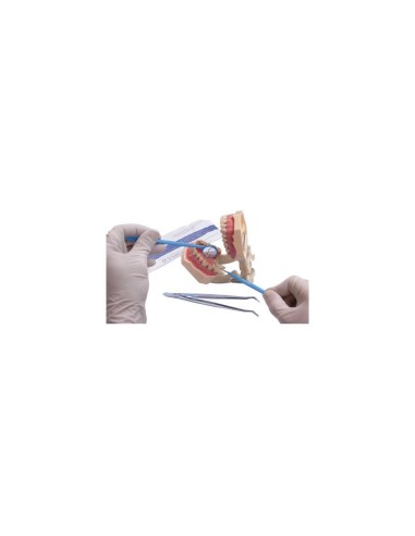 MD-05-B39EDF75A1