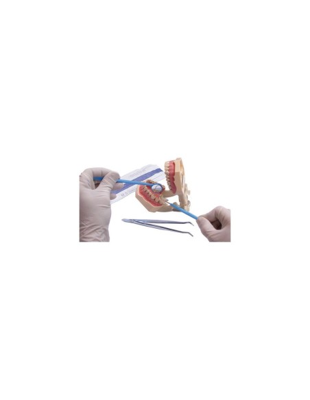 MD-05-B39EDF75A1