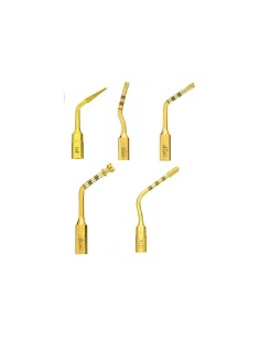 MD-21-03DA3E6EB2