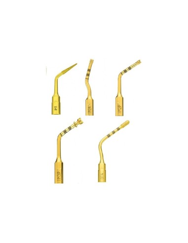MD-21-03DA3E6EB2