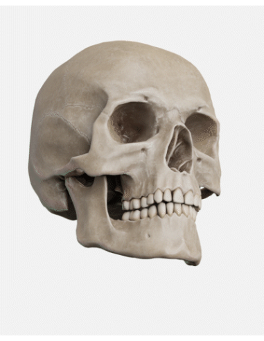 ORTHOPANTOMOGRAPH OP 3D LX