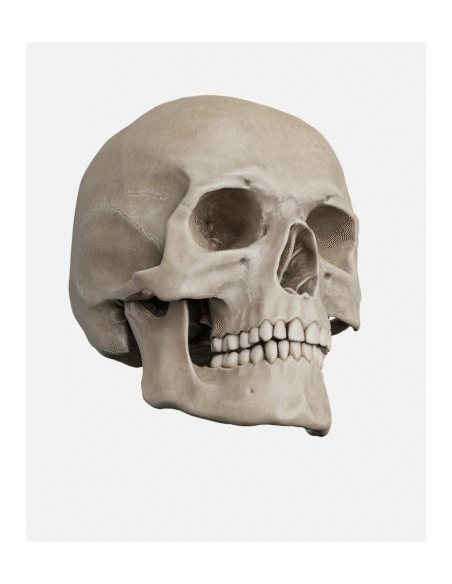 ORTHOPANTOMOGRAPH OP 3D LX