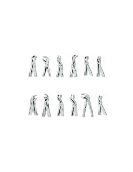 N° 45 / 0100-45 - canines inférieures