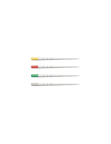 Large / 21 mm