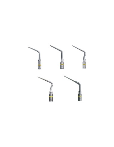 MD-07-D6E60A7418